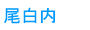 尾白内